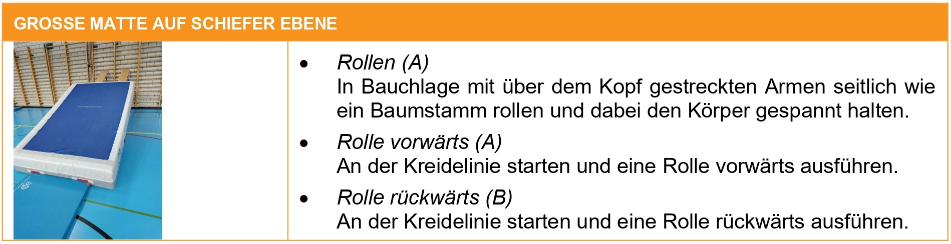 fiche