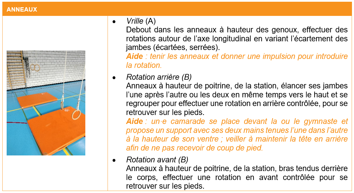 fiche