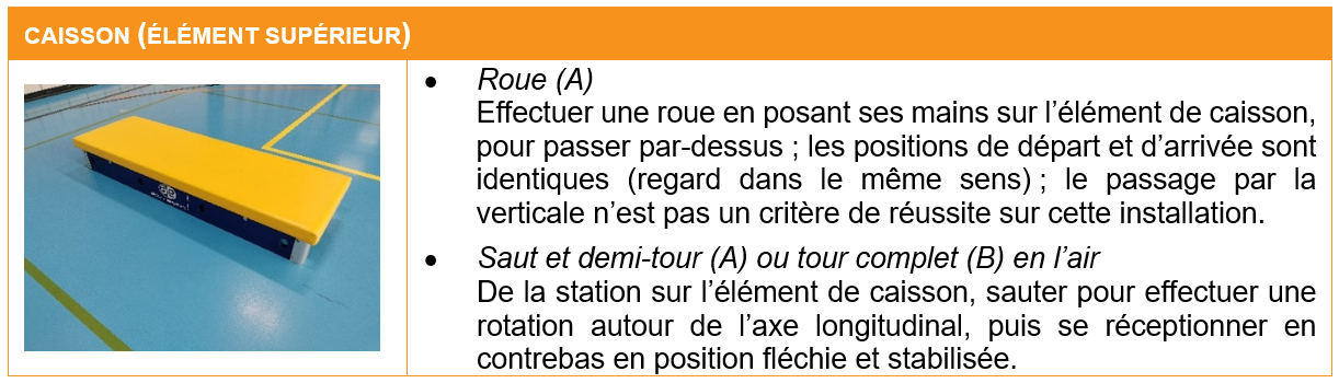 fiche