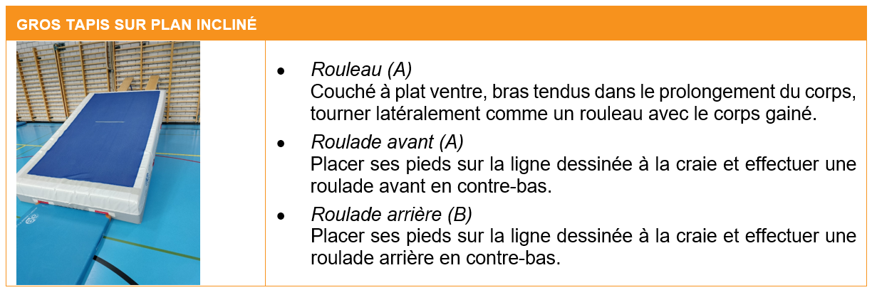 fiche