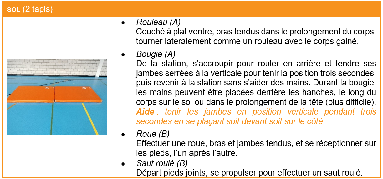 fiche